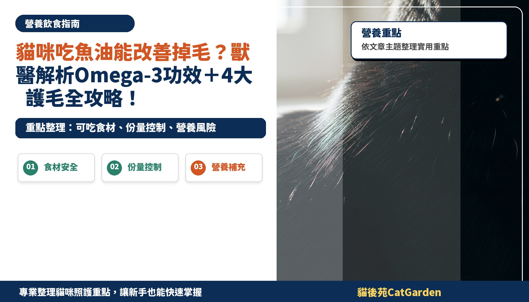 貓咪吃魚油能改善掉毛？獸醫解析Omega-3功效＋4大護毛全攻略！