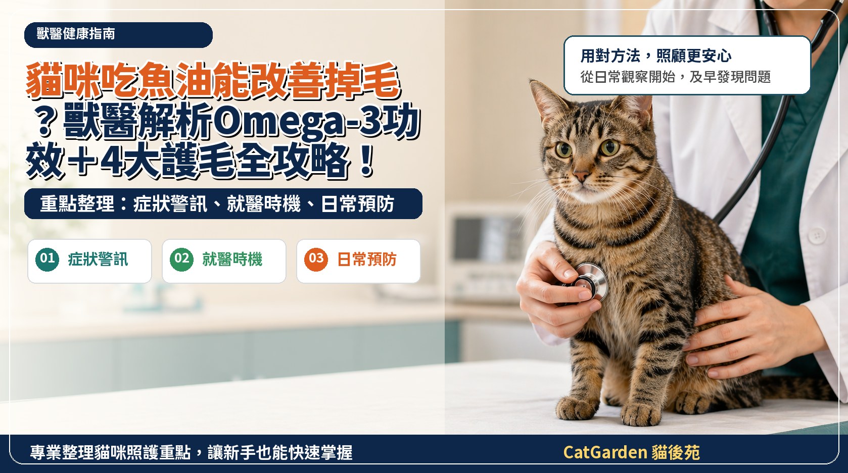 貓咪吃魚油能改善掉毛？獸醫解析Omega-3功效＋4大護毛全攻略！ 封面圖
