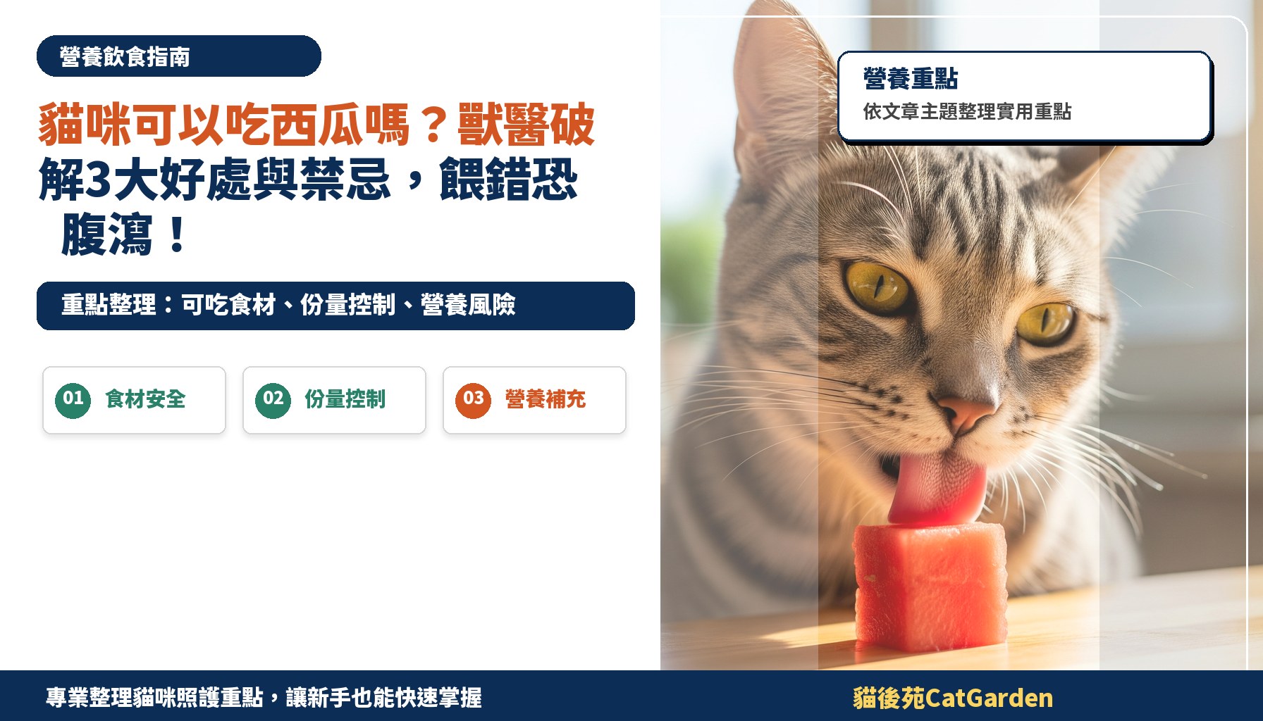 貓咪可以吃西瓜嗎？獸醫破解3大好處與禁忌，餵錯恐腹瀉！