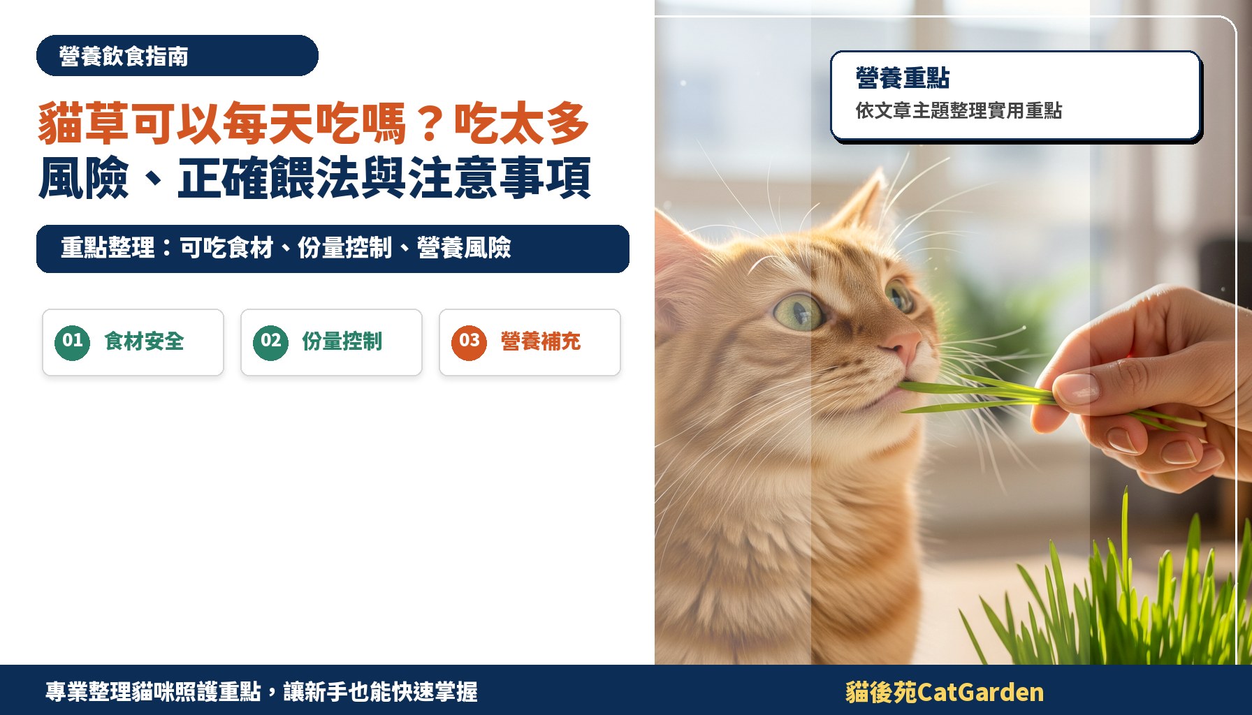 貓草可以每天吃嗎？吃太多風險、正確餵法與注意事項