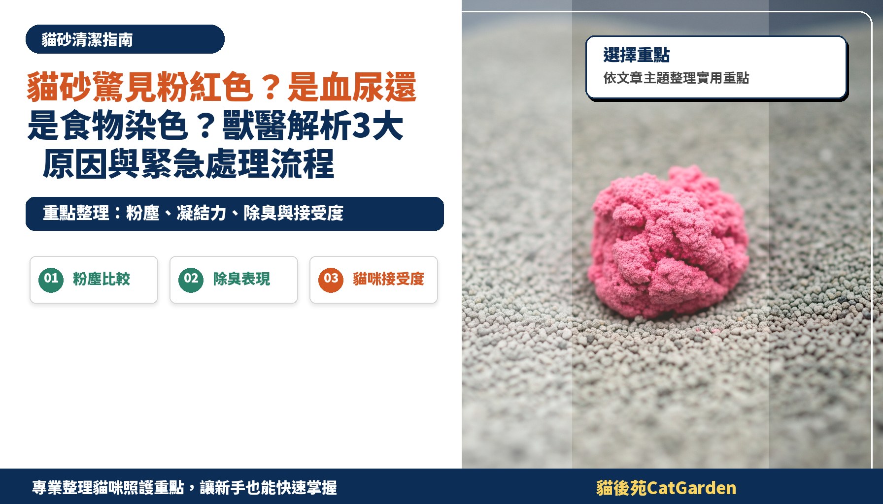 貓砂驚見粉紅色？是血尿還是食物染色？獸醫解析3大原因與緊急處理流程