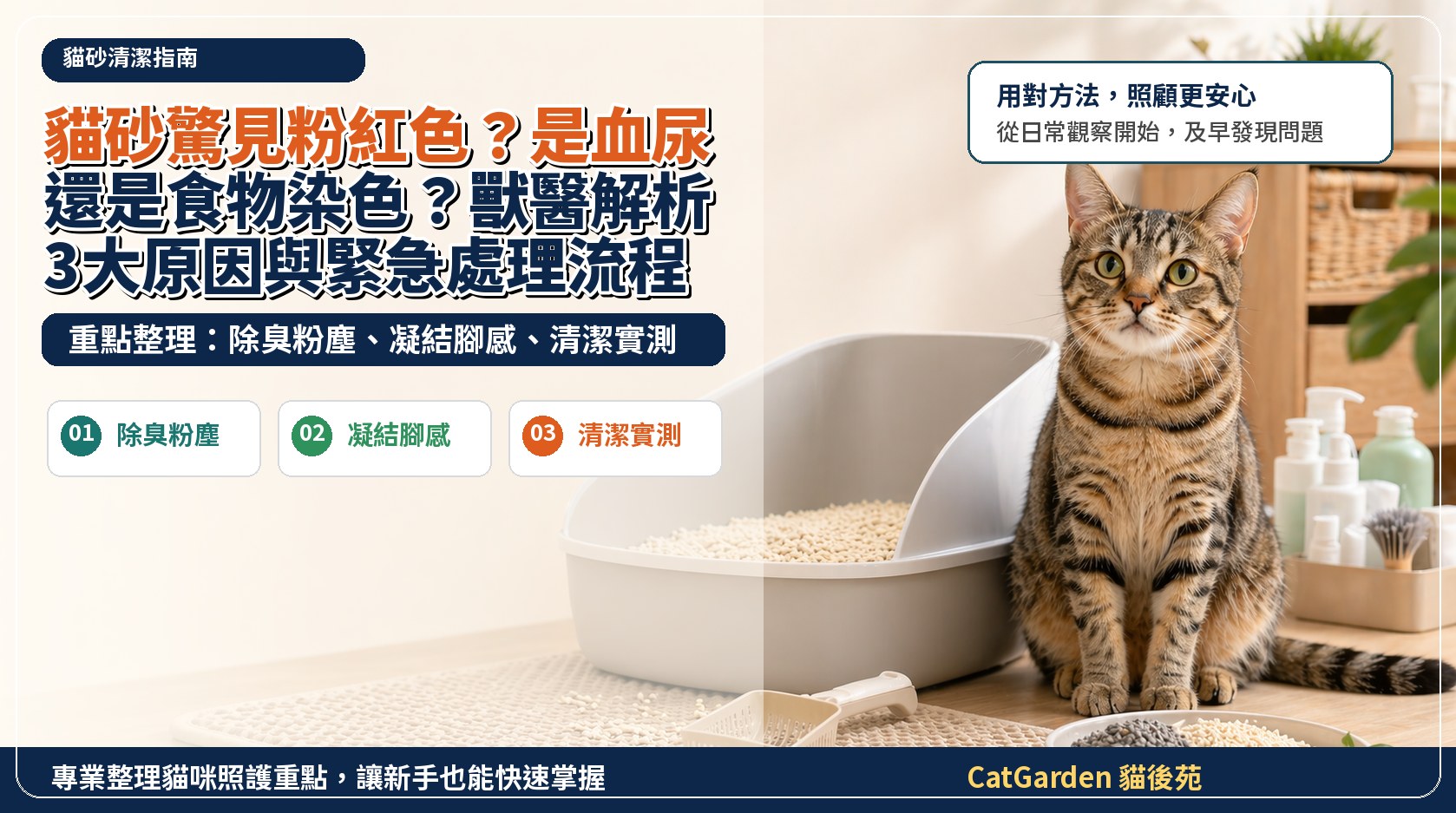 貓砂驚見粉紅色？是血尿還是食物染色？獸醫解析3大原因與緊急處理流程 封面圖