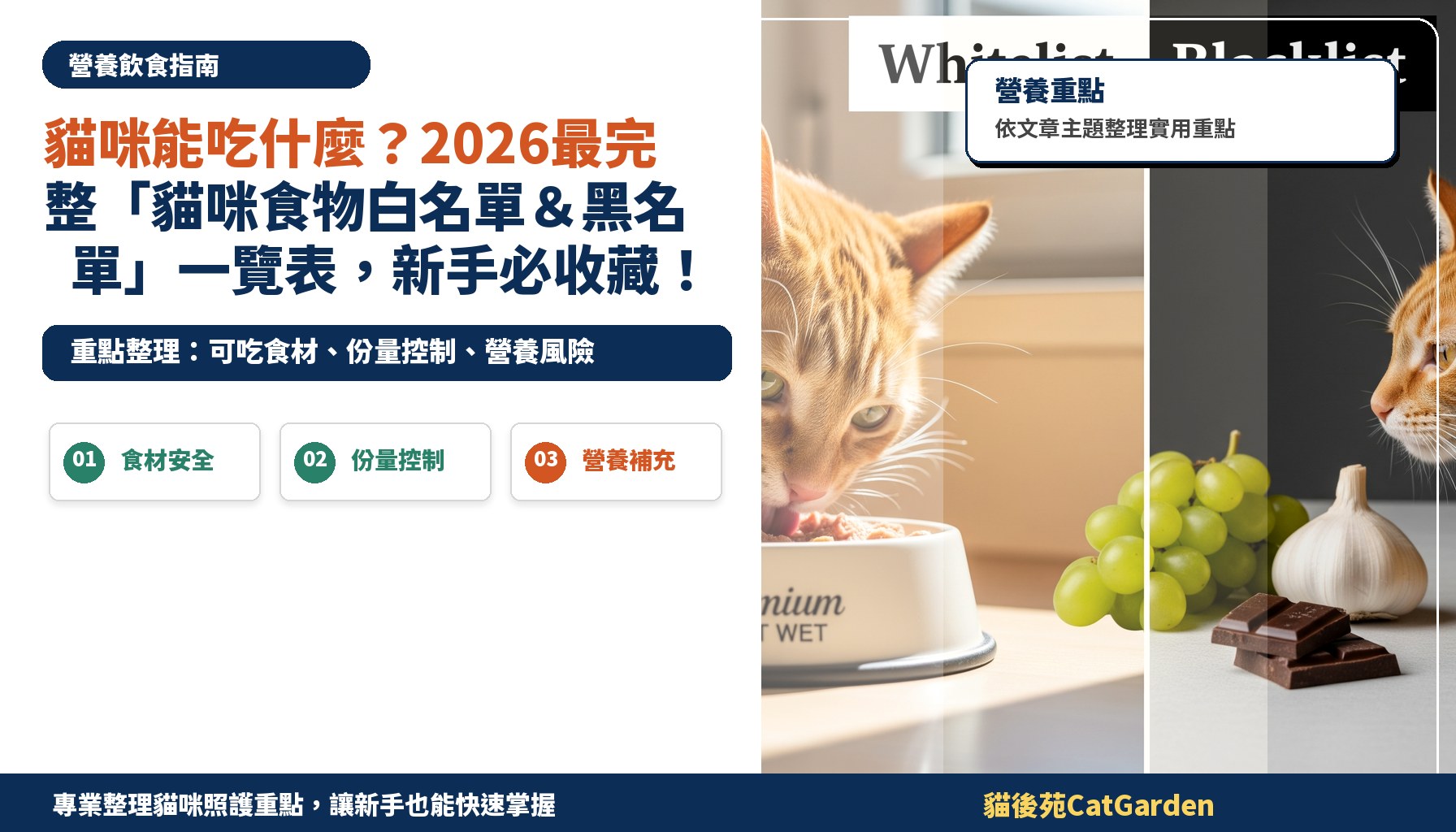 貓咪能吃什麼？2026最完整「貓咪食物白名單＆黑名單」一覽表，新手必收藏！