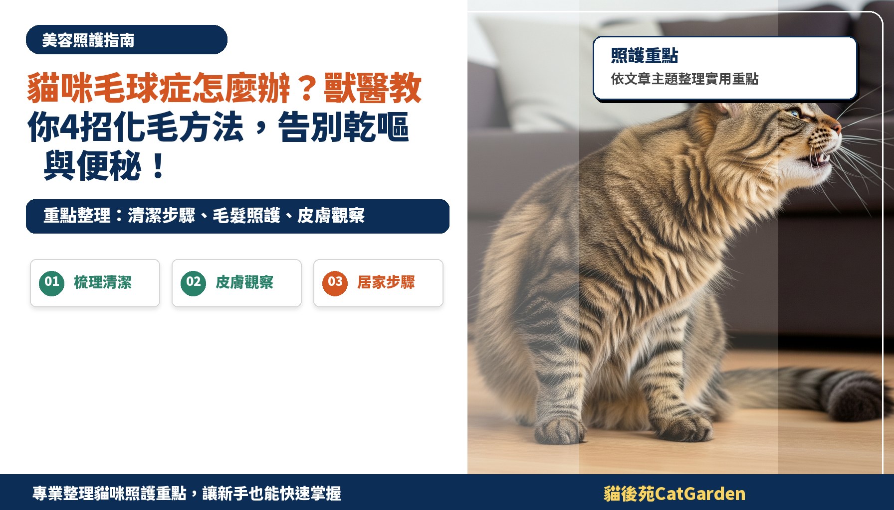 貓咪毛球症怎麼辦？獸醫教你4招化毛方法，告別乾嘔與便秘！