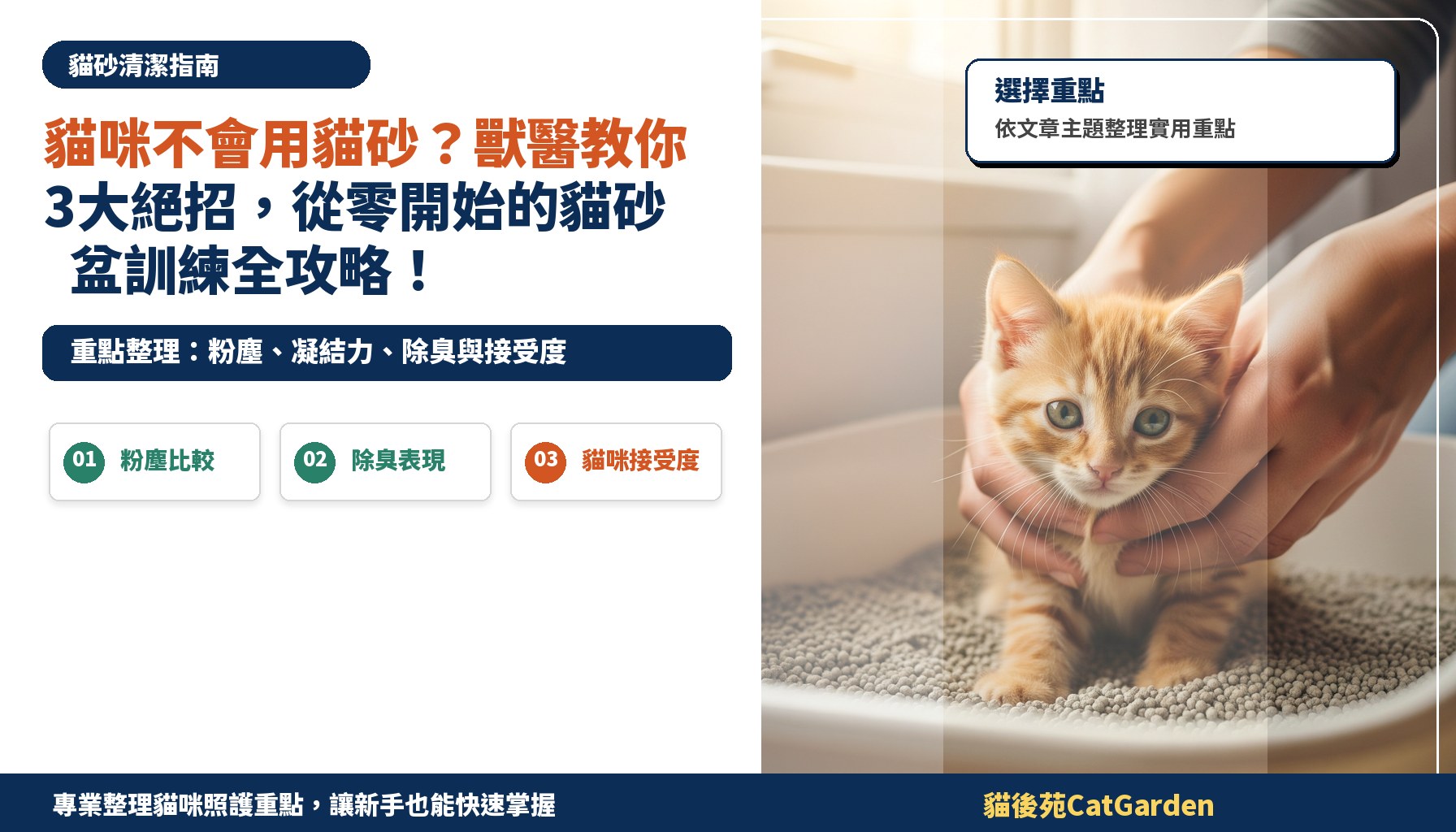 貓咪不會用貓砂？獸醫教你3大絕招，從零開始的貓砂盆訓練全攻略！