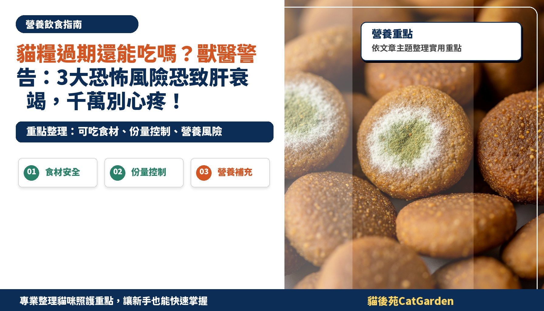 貓糧過期還能吃嗎？獸醫警告：3大恐怖風險恐致肝衰竭，千萬別心疼！