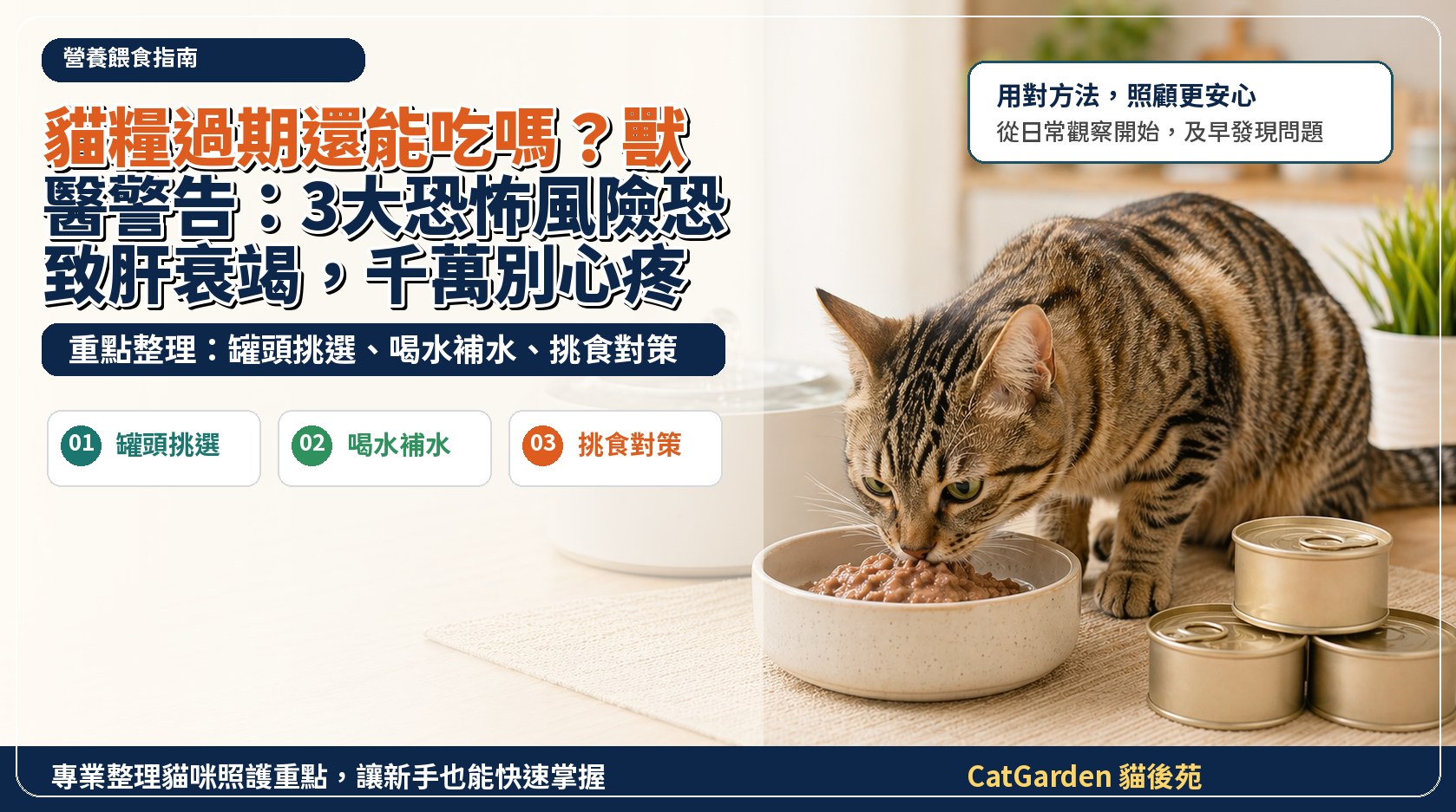 貓糧過期還能吃嗎？獸醫警告：3大恐怖風險恐致肝衰竭，千萬別心疼！ 封面圖