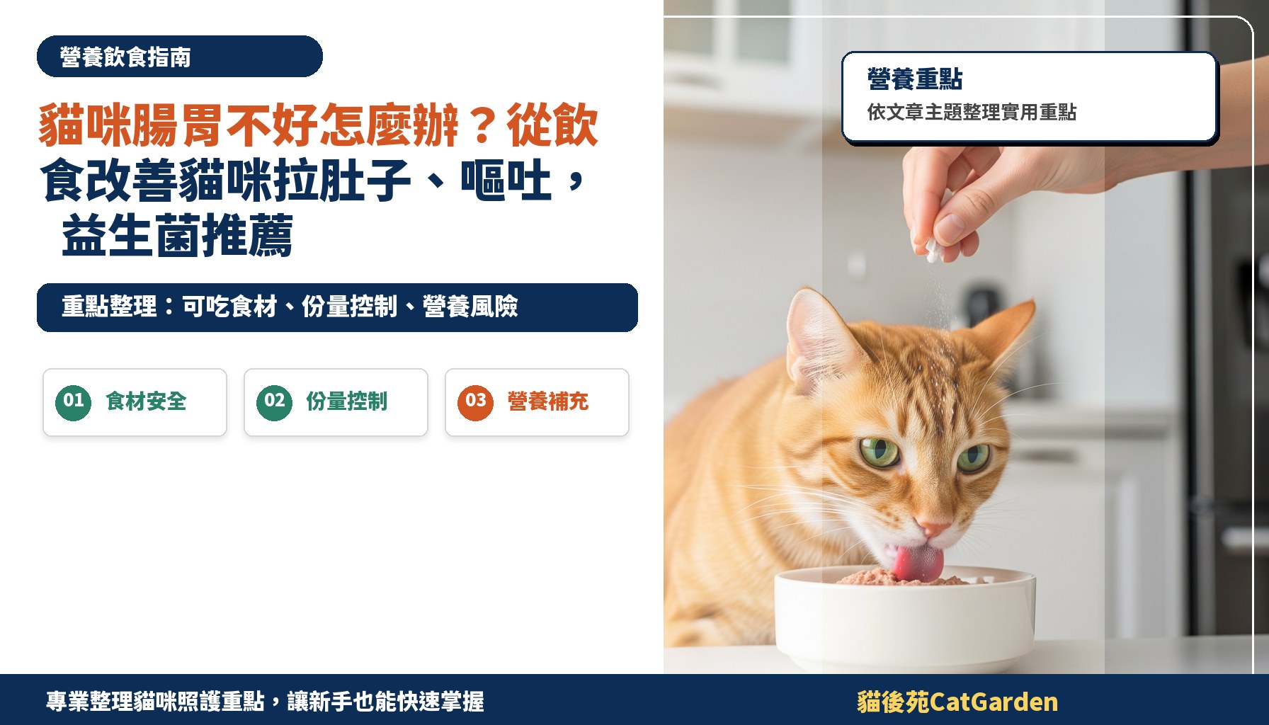 貓咪腸胃不好怎麼辦？從飲食改善貓咪拉肚子、嘔吐，益生菌推薦