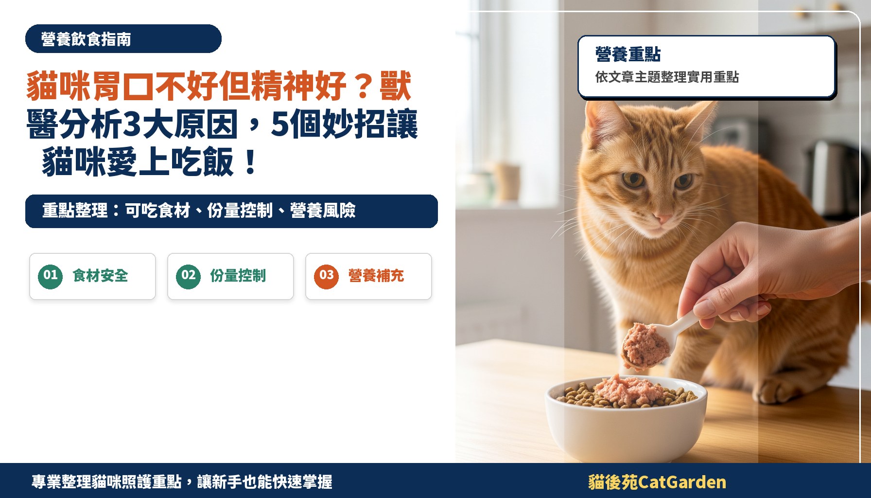 貓咪胃口不好但精神好？獸醫分析3大原因，5個妙招讓貓咪愛上吃飯！