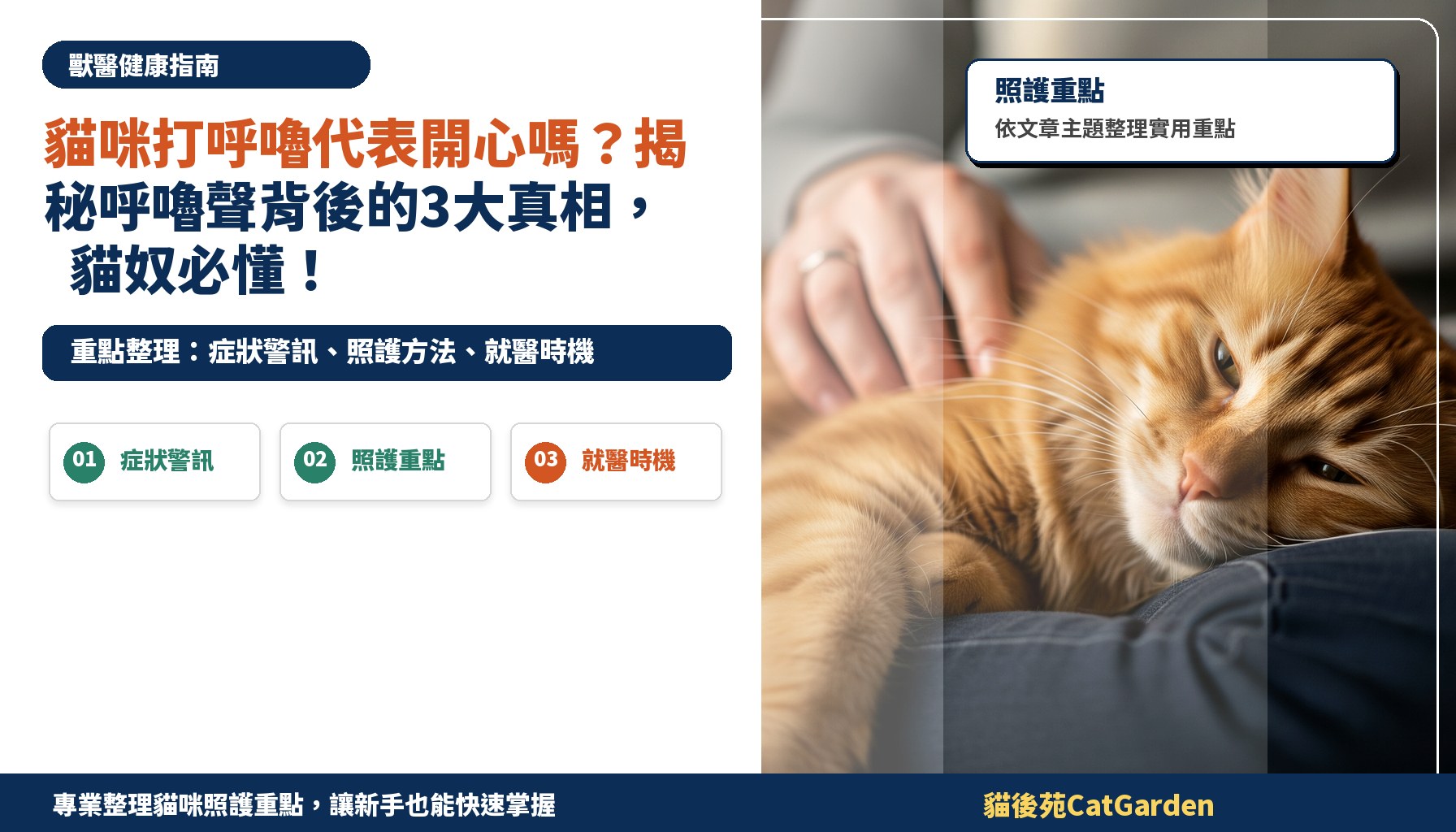 貓咪打呼嚕代表開心嗎？揭秘呼嚕聲背後的3大真相，貓奴必懂！