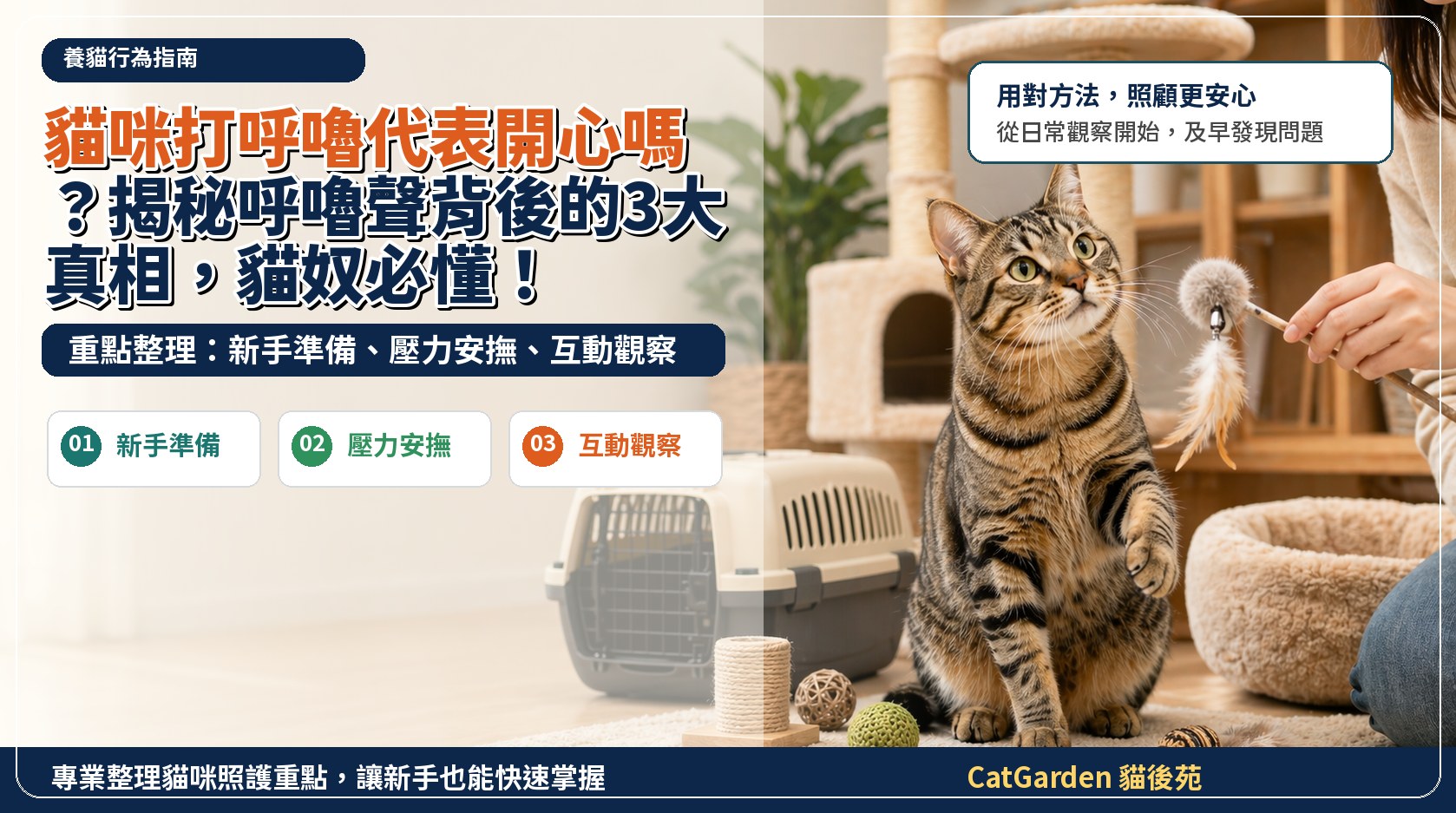 貓咪打呼嚕代表開心嗎？揭秘呼嚕聲背後的3大真相，貓奴必懂！ 封面圖