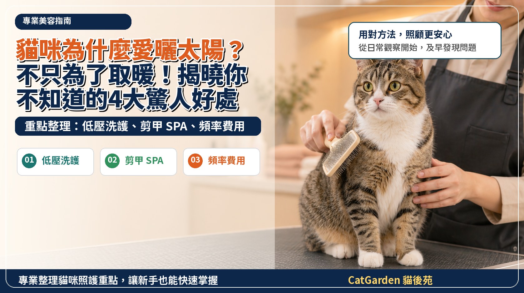 貓咪為什麼愛曬太陽？不只為了取暖！揭曉你不知道的4大驚人好處 封面圖