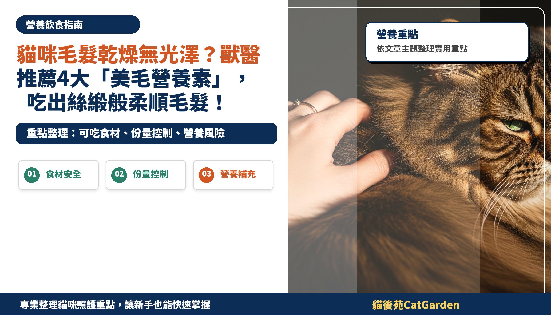 貓咪毛髮乾燥無光澤？獸醫推薦4大「美毛營養素」，吃出絲緞般柔順毛髮！
