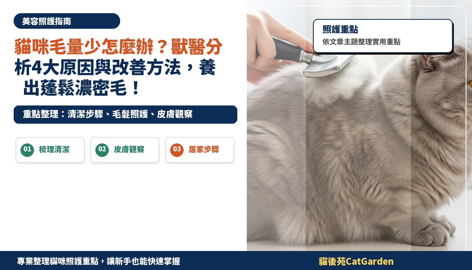 貓咪毛量少怎麼辦？獸醫分析4大原因與改善方法，養出蓬鬆濃密毛！