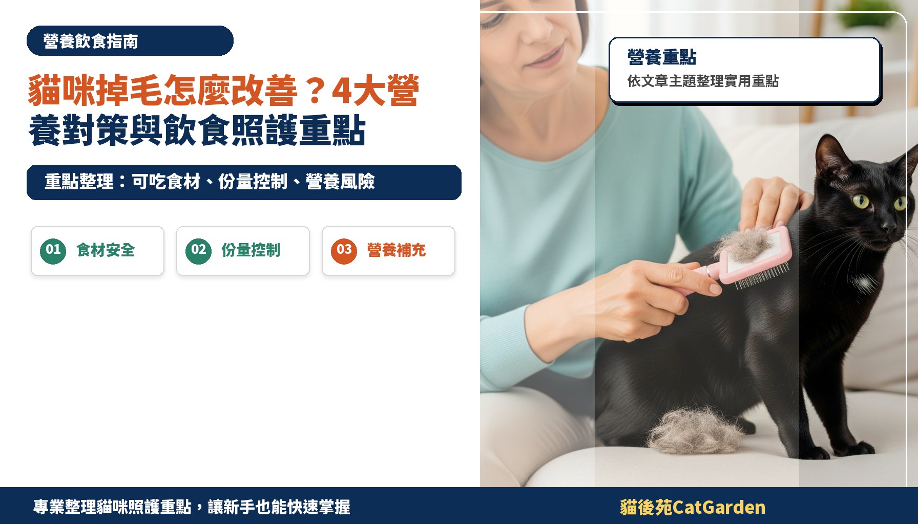 貓咪掉毛怎麼改善？4大營養對策與飲食照護重點