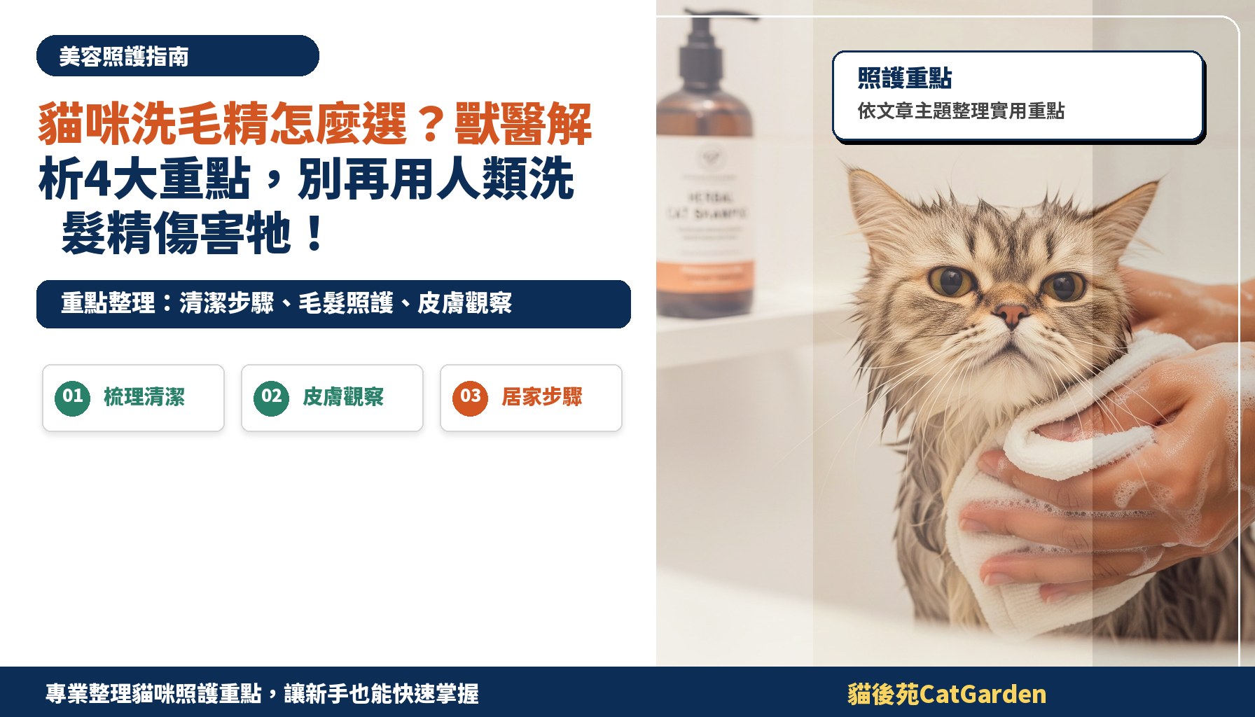 貓咪洗毛精怎麼選？獸醫解析4大重點，別再用人類洗髮精傷害牠！