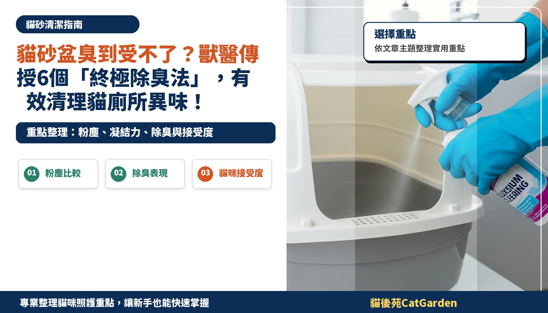 貓砂盆臭到受不了？獸醫傳授6個「終極除臭法」，有效清理貓廁所異味！