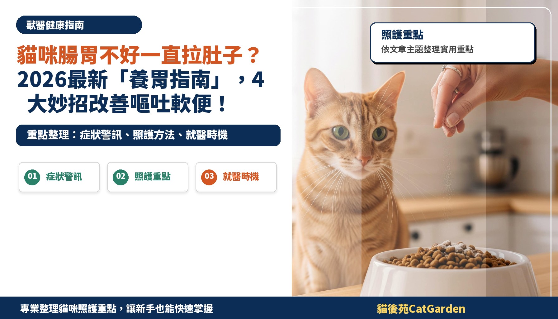 貓咪腸胃不好一直拉肚子？2026最新「養胃指南」，4大妙招改善嘔吐軟便！