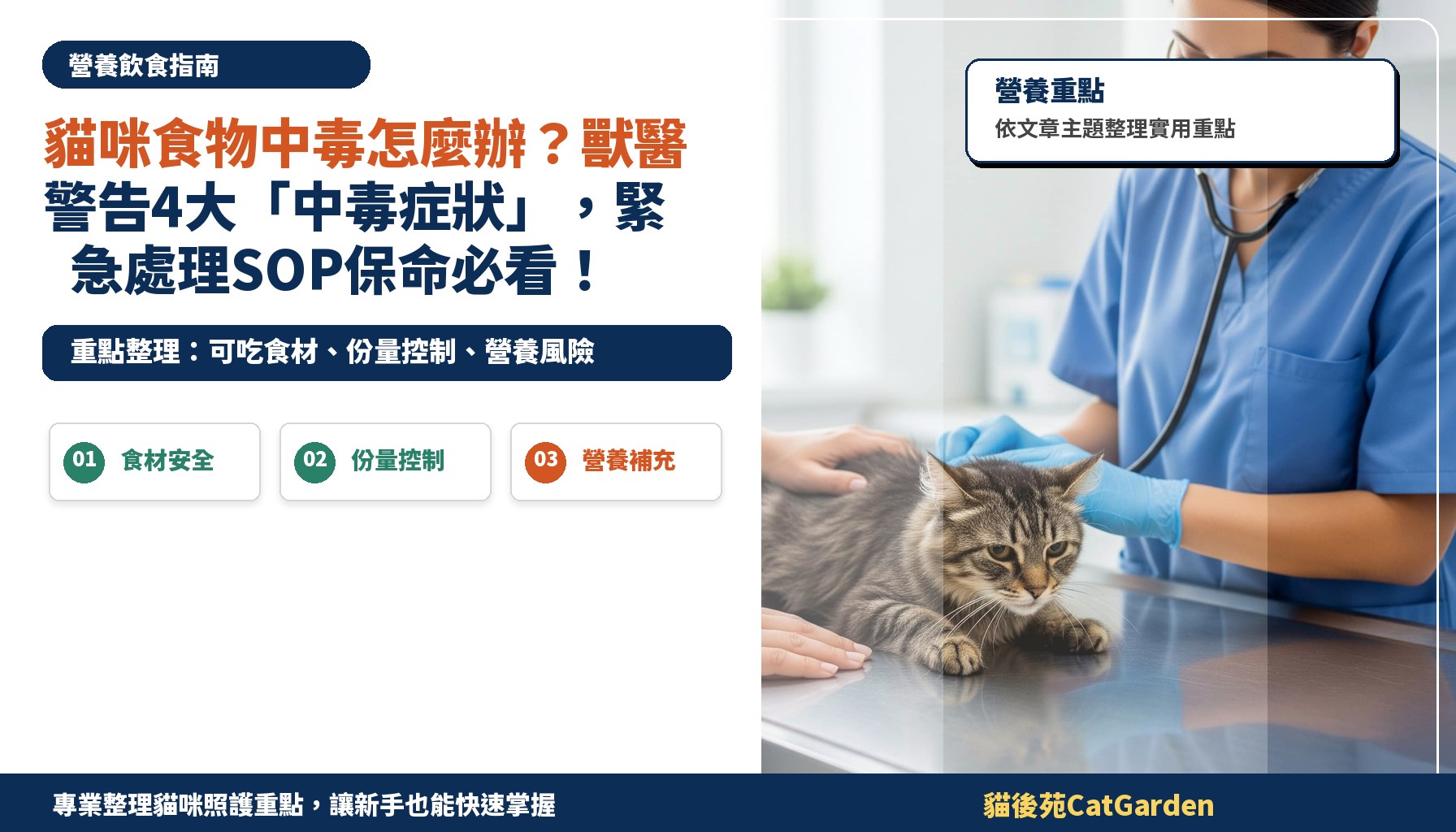 貓咪食物中毒怎麼辦？獸醫警告4大「中毒症狀」，緊急處理SOP保命必看！