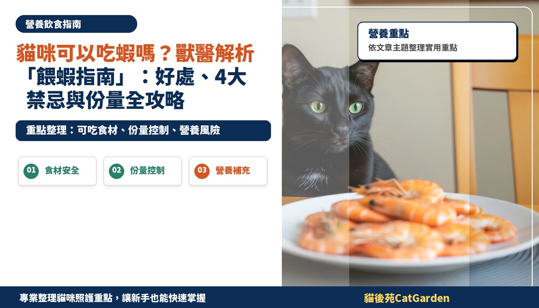 貓咪可以吃蝦嗎？獸醫解析「餵蝦指南」：好處、4大禁忌與份量全攻略