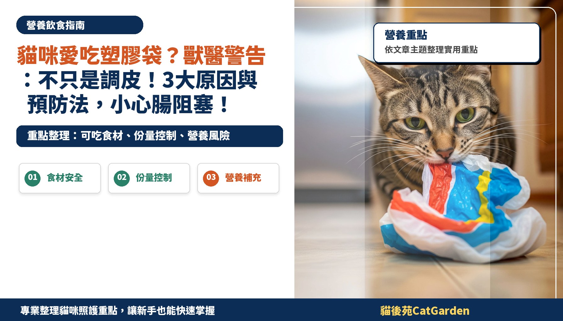 貓咪愛吃塑膠袋？獸醫警告：不只是調皮！3大原因與預防法，小心腸阻塞！