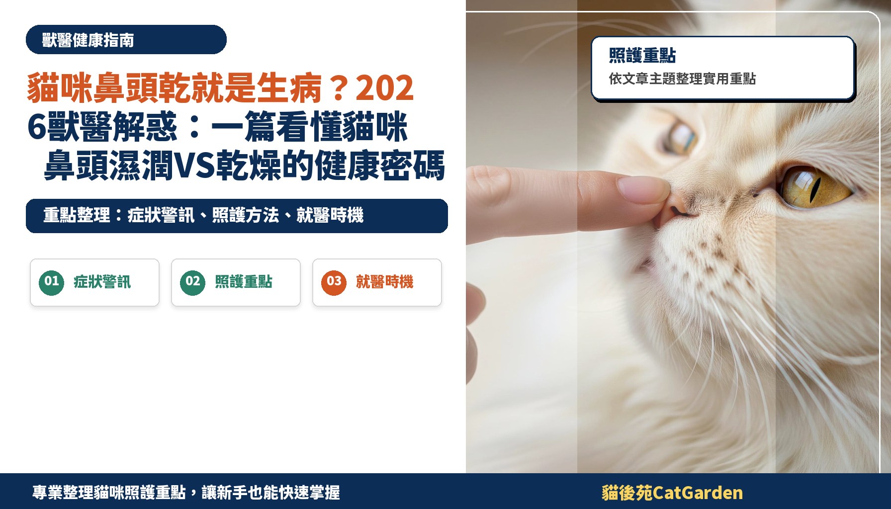 貓咪鼻頭乾就是生病？2026獸醫解惑：一篇看懂貓咪鼻頭濕潤VS乾燥的健康密碼