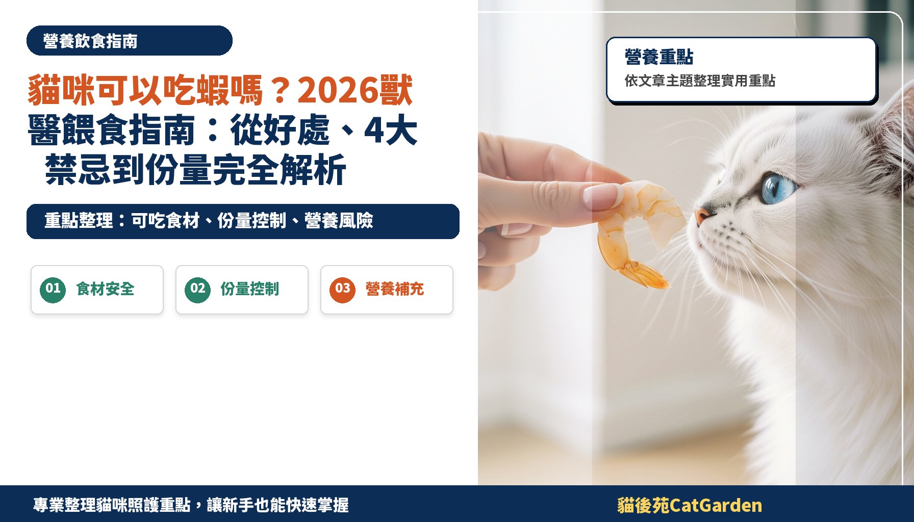 貓咪可以吃蝦嗎？2026獸醫餵食指南：從好處、4大禁忌到份量完全解析