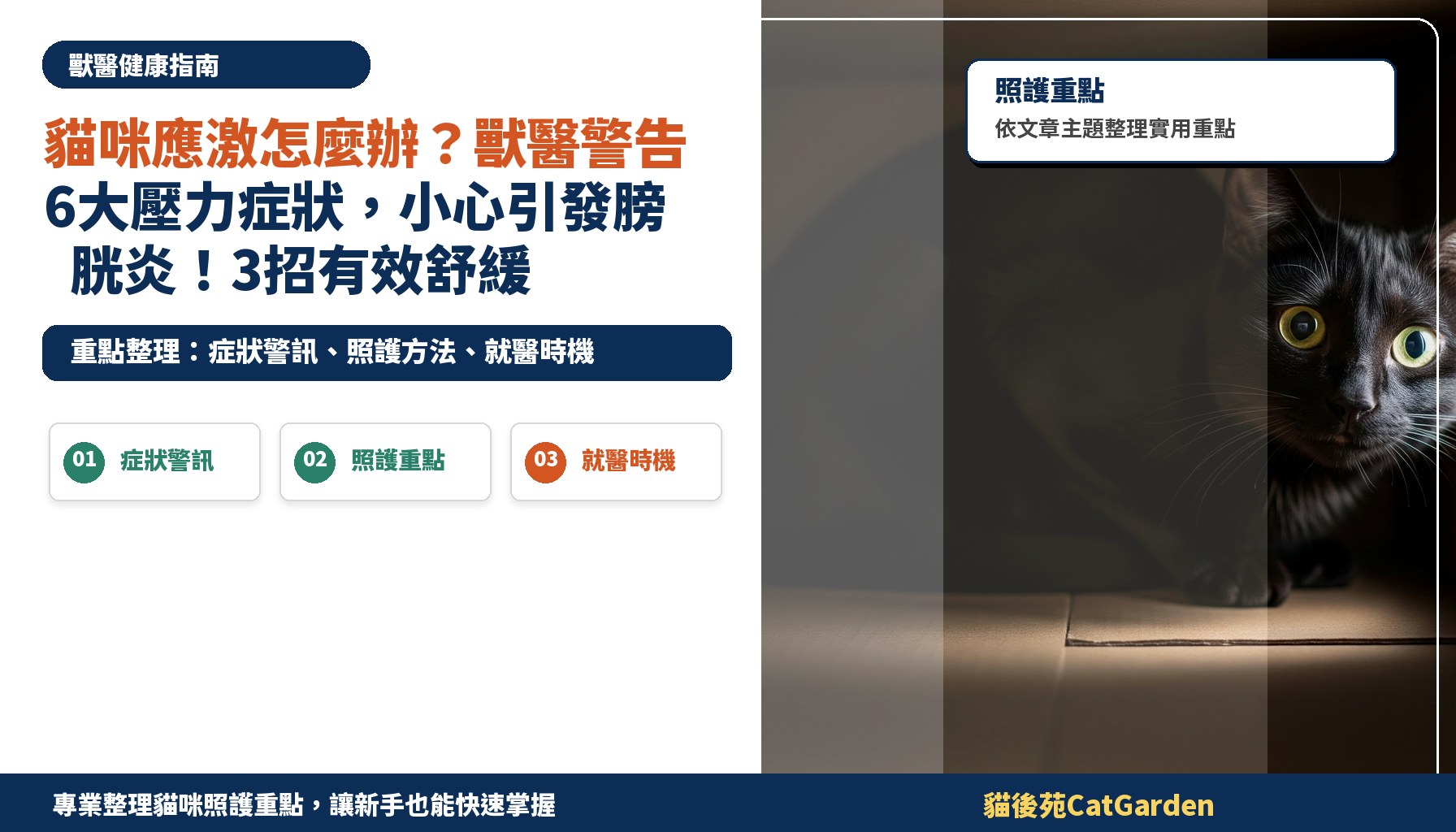 貓咪應激怎麼辦？獸醫警告6大壓力症狀，小心引發膀胱炎！3招有效舒緩