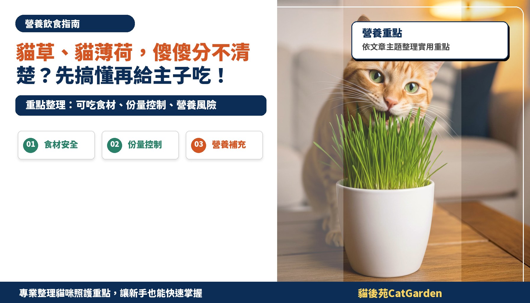 貓草、貓薄荷，傻傻分不清楚？先搞懂再給主子吃！