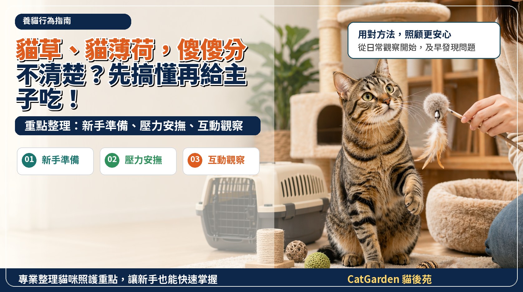 貓草、貓薄荷，傻傻分不清楚？先搞懂再給主子吃！ 封面圖