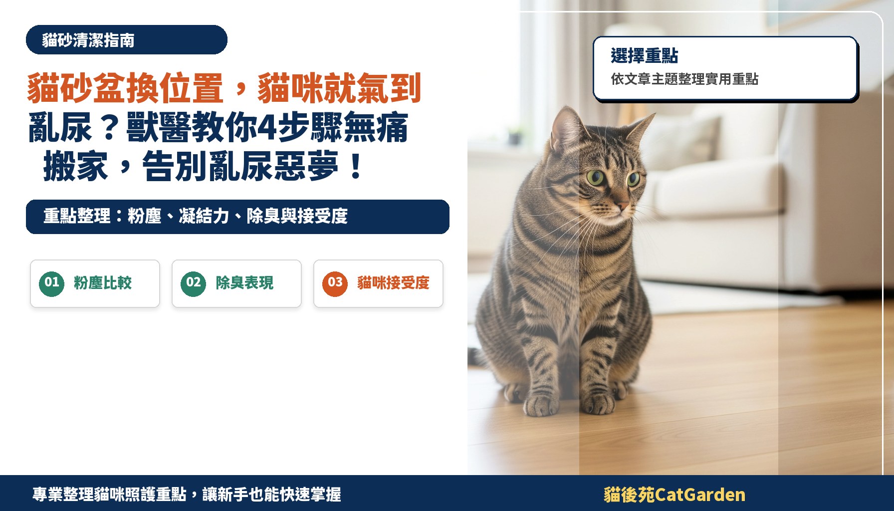 貓砂盆換位置，貓咪就氣到亂尿？獸醫教你4步驟無痛搬家，告別亂尿惡夢！