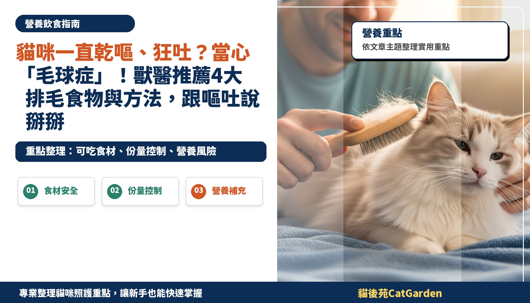 貓咪一直乾嘔、狂吐？當心「毛球症」！獸醫推薦4大排毛食物與方法，跟嘔吐說掰掰