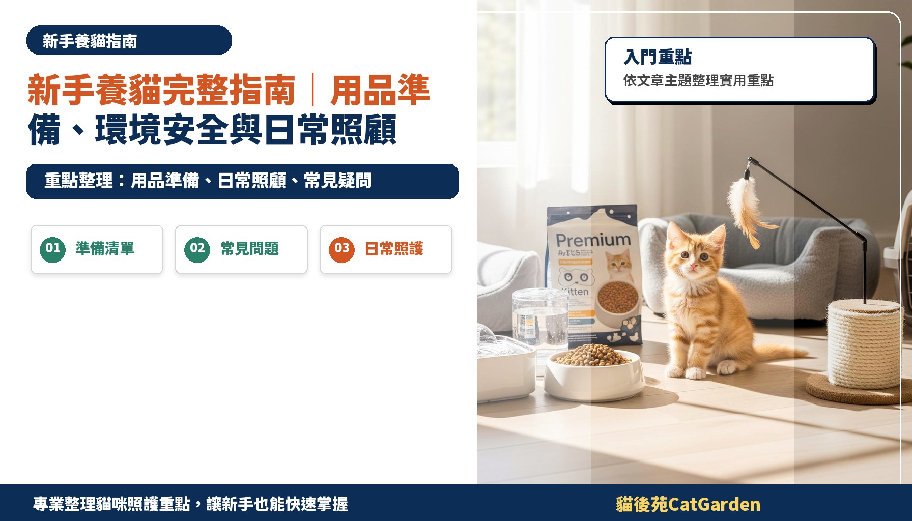 新手養貓完整指南｜用品準備、環境安全與日常照顧