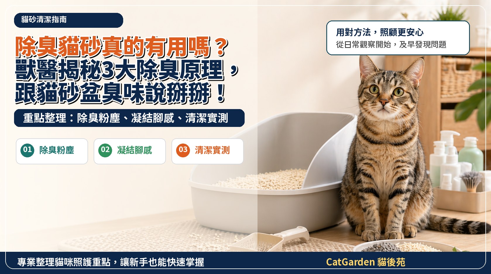 除臭貓砂真的有用嗎？獸醫揭秘3大除臭原理，跟貓砂盆臭味說掰掰！ 封面圖