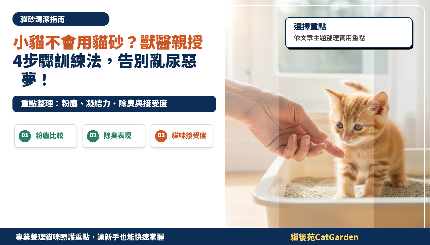 小貓不會用貓砂？獸醫親授4步驟訓練法，告別亂尿惡夢！