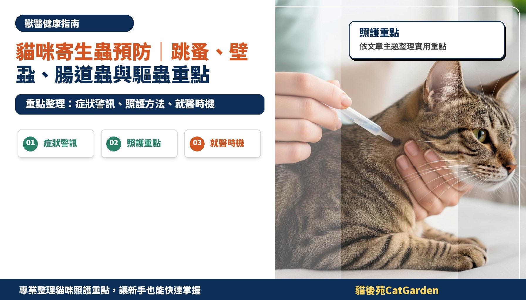 貓咪寄生蟲預防｜跳蚤、壁蝨、腸道蟲與驅蟲重點