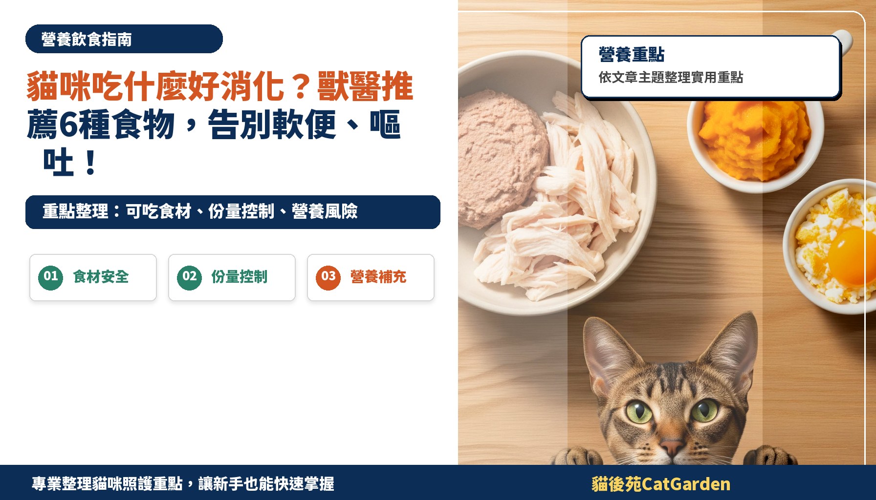 貓咪吃什麼好消化？獸醫推薦6種食物，告別軟便、嘔吐！