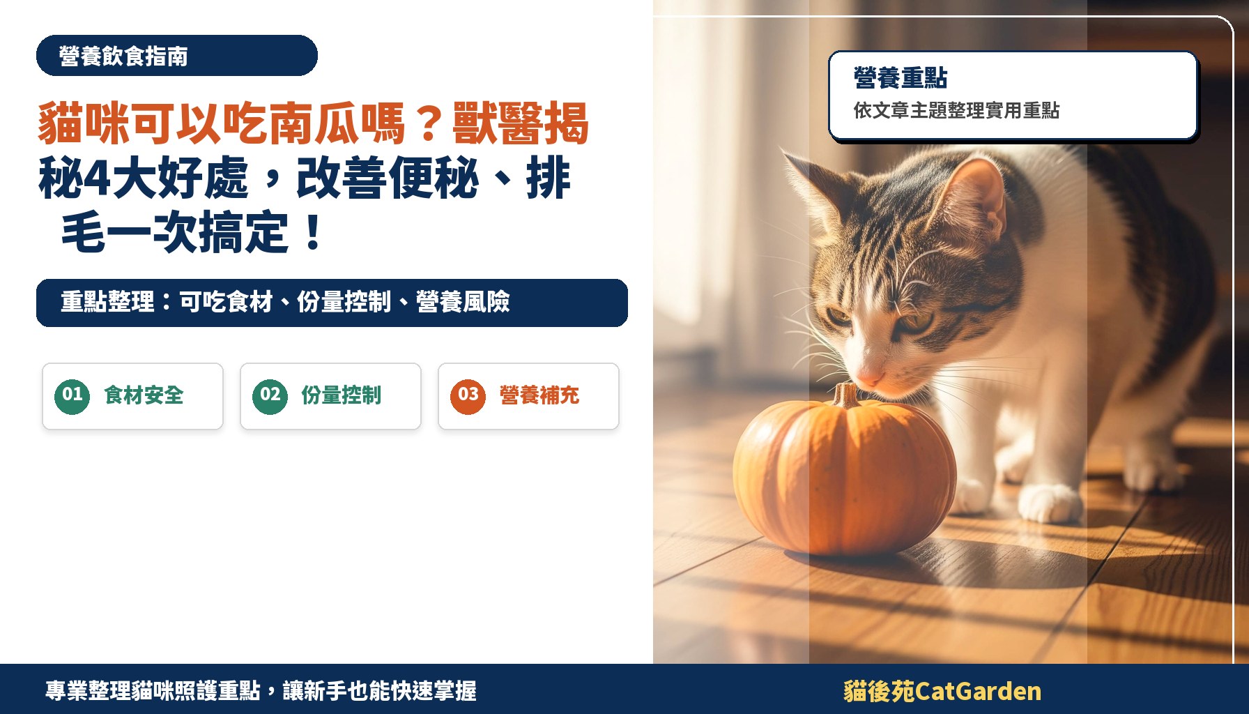 貓咪可以吃南瓜嗎？獸醫揭秘4大好處，改善便秘、排毛一次搞定！