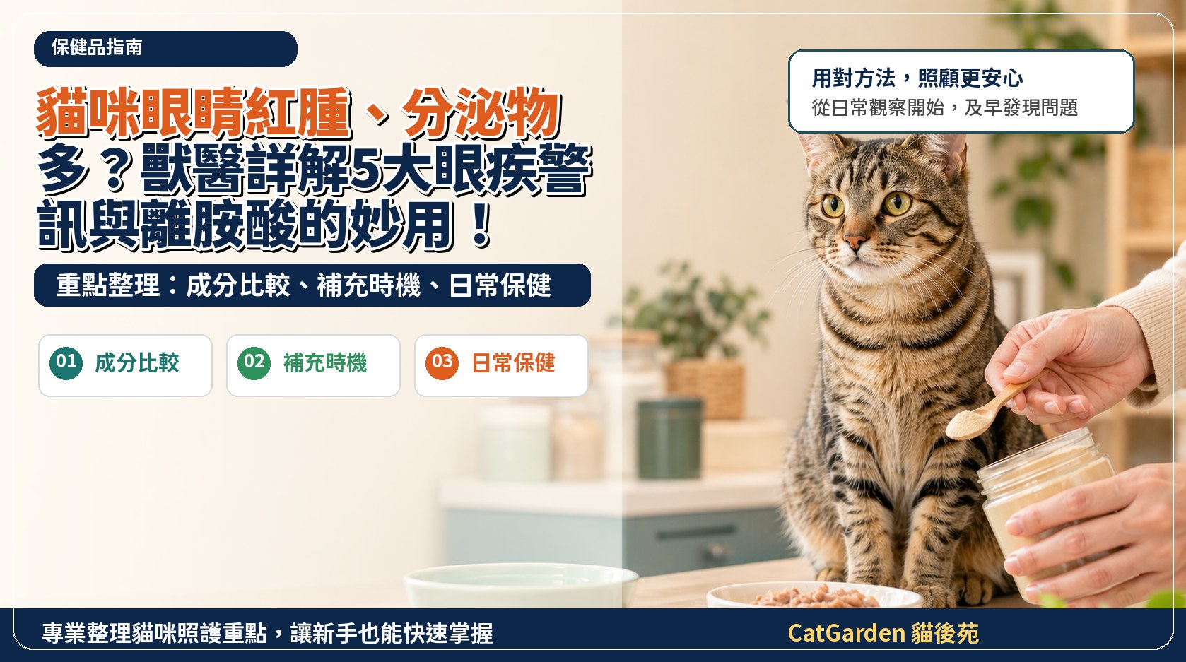 貓咪眼睛紅腫、分泌物多？獸醫詳解5大眼疾警訊與離胺酸的妙用！ 封面圖
