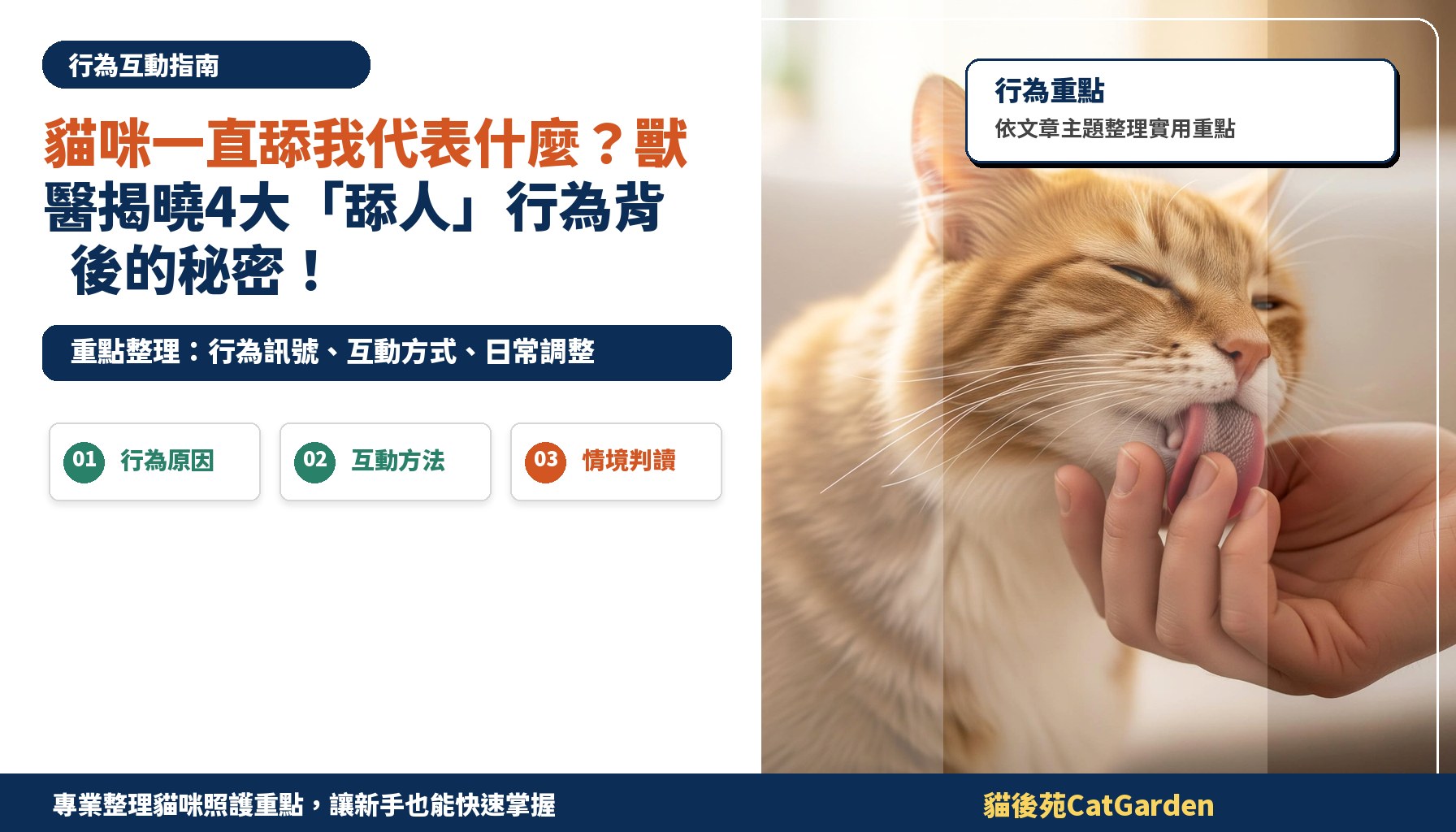 貓咪一直舔我代表什麼？獸醫揭曉4大「舔人」行為背後的秘密！