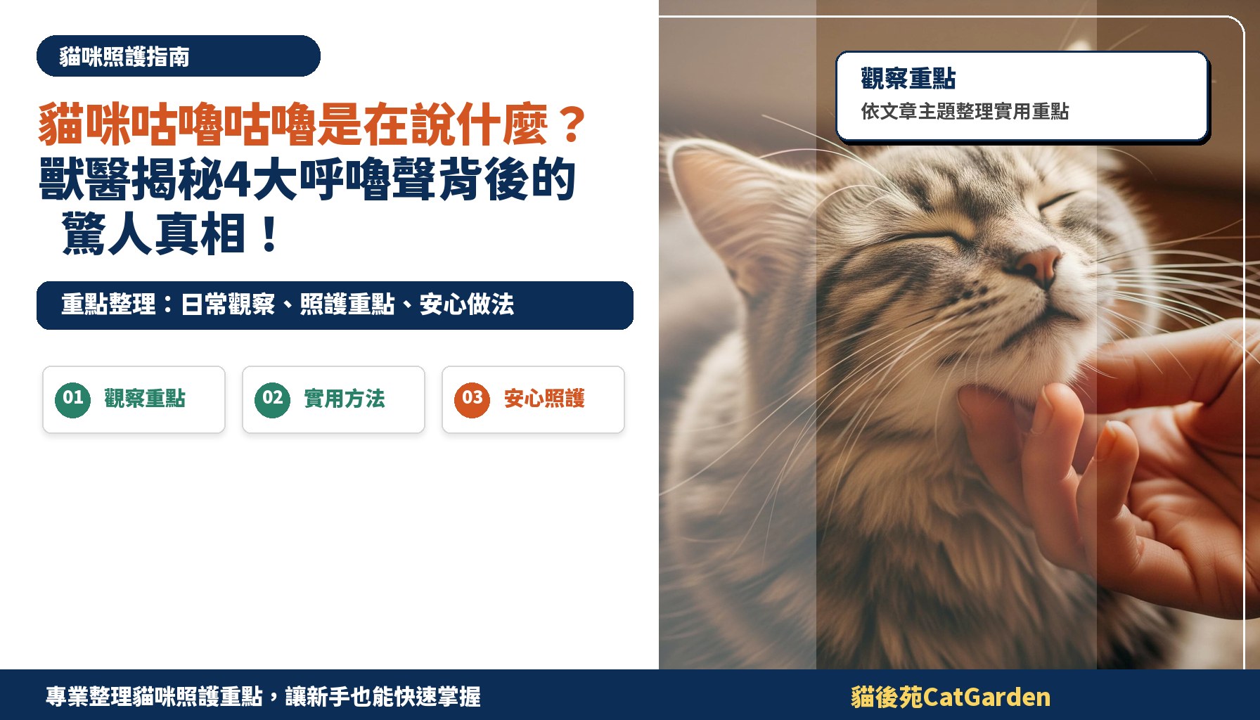 貓咪咕嚕咕嚕是在說什麼？獸醫揭秘4大呼嚕聲背後的驚人真相！