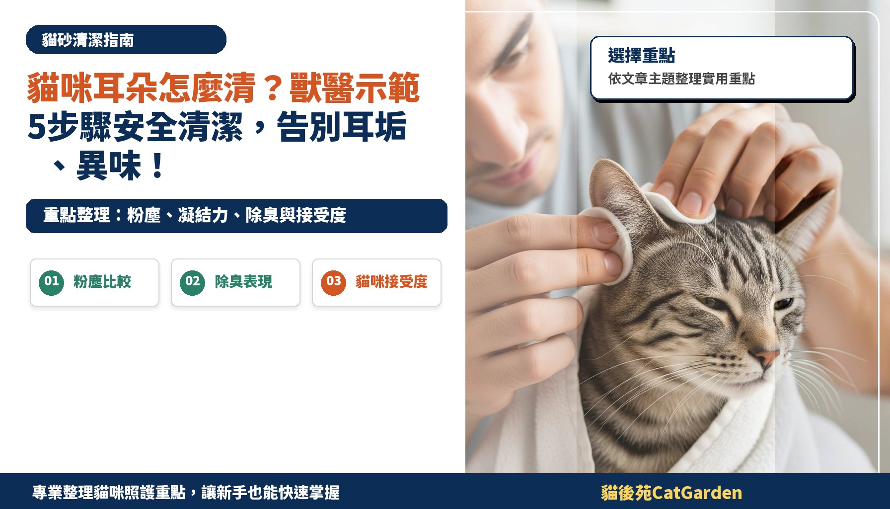貓咪耳朵怎麼清？獸醫示範5步驟安全清潔，告別耳垢、異味！