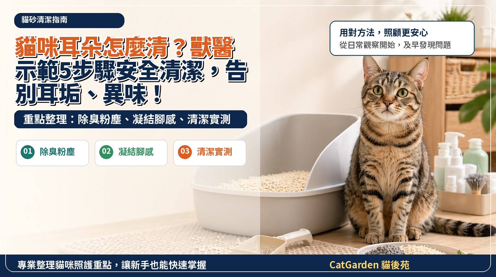 貓咪耳朵怎麼清？獸醫示範5步驟安全清潔，告別耳垢、異味！ 封面圖