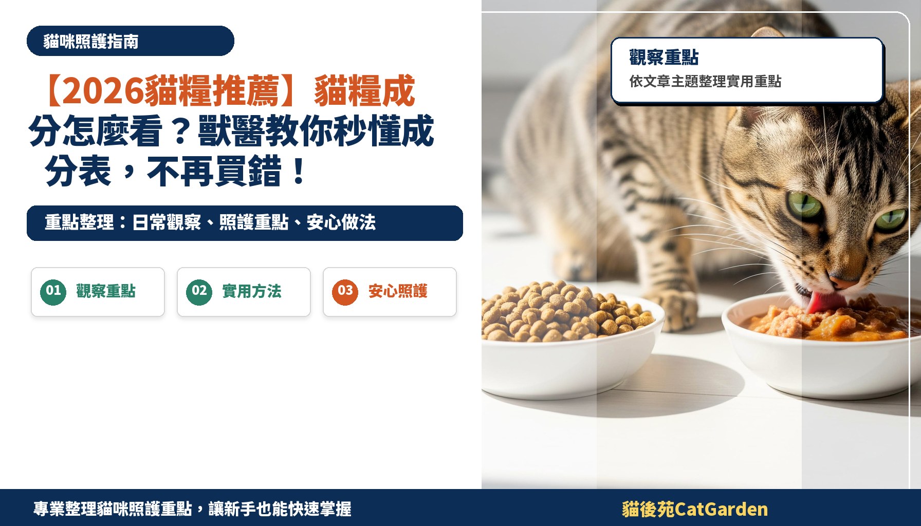 【2026貓糧推薦】貓糧成分怎麼看？獸醫教你秒懂成分表，不再買錯！