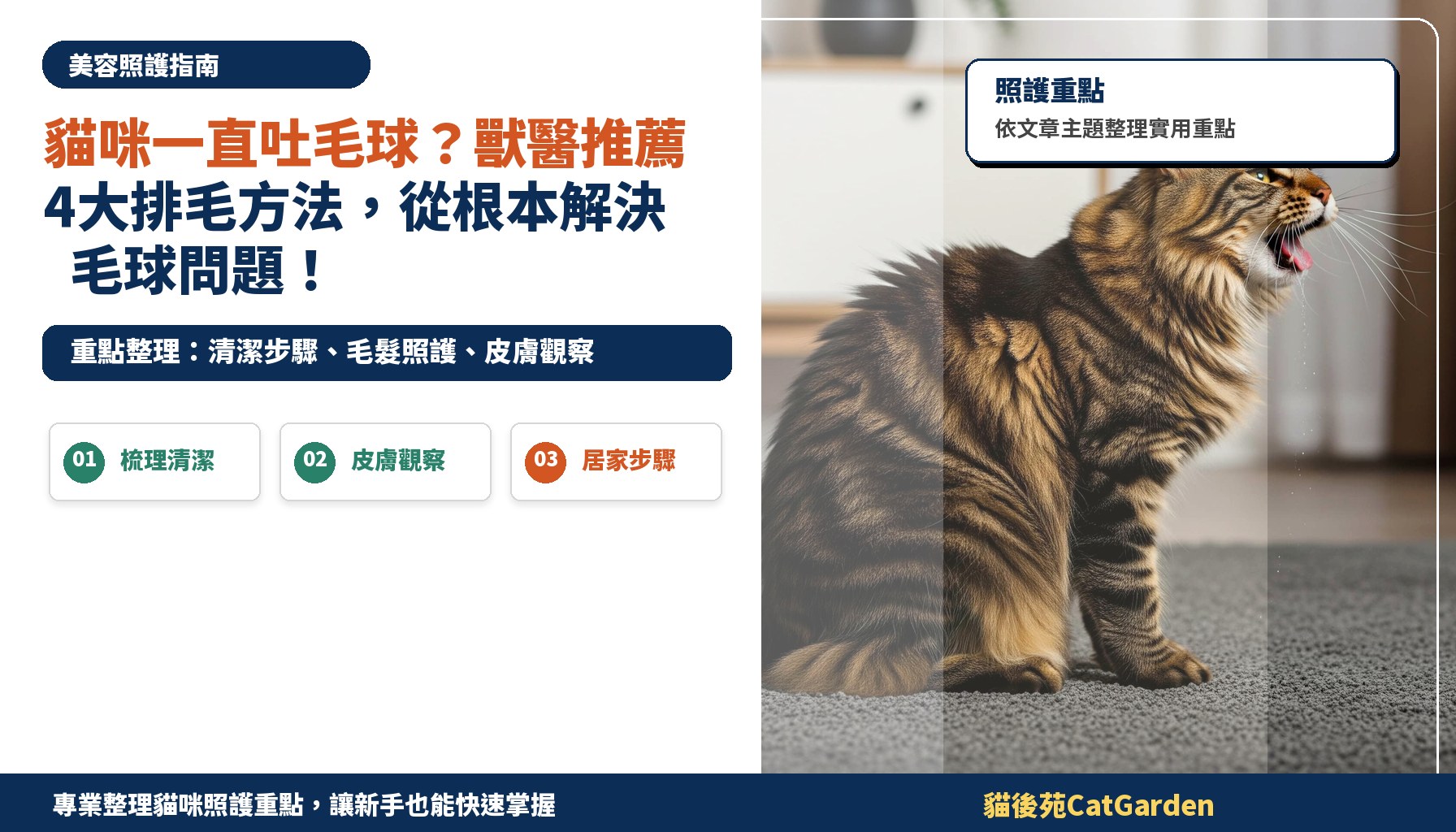 貓咪一直吐毛球？獸醫推薦4大排毛方法，從根本解決毛球問題！