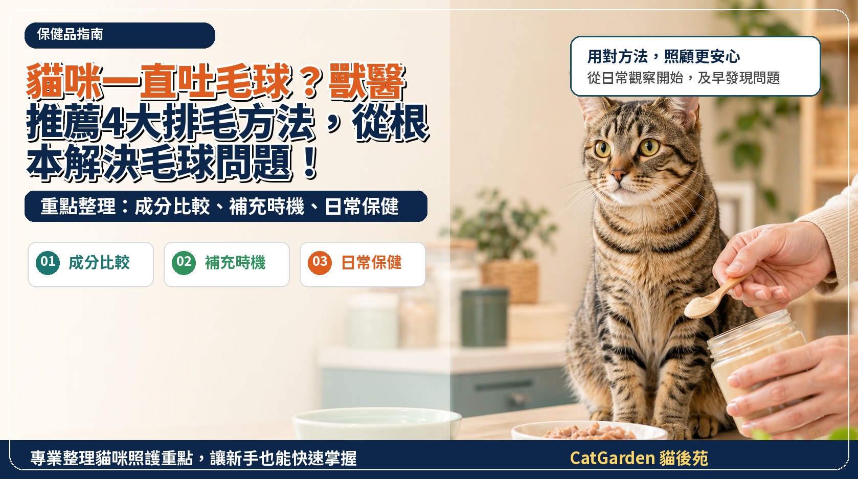 貓咪一直吐毛球？獸醫推薦4大排毛方法，從根本解決毛球問題！ 封面圖