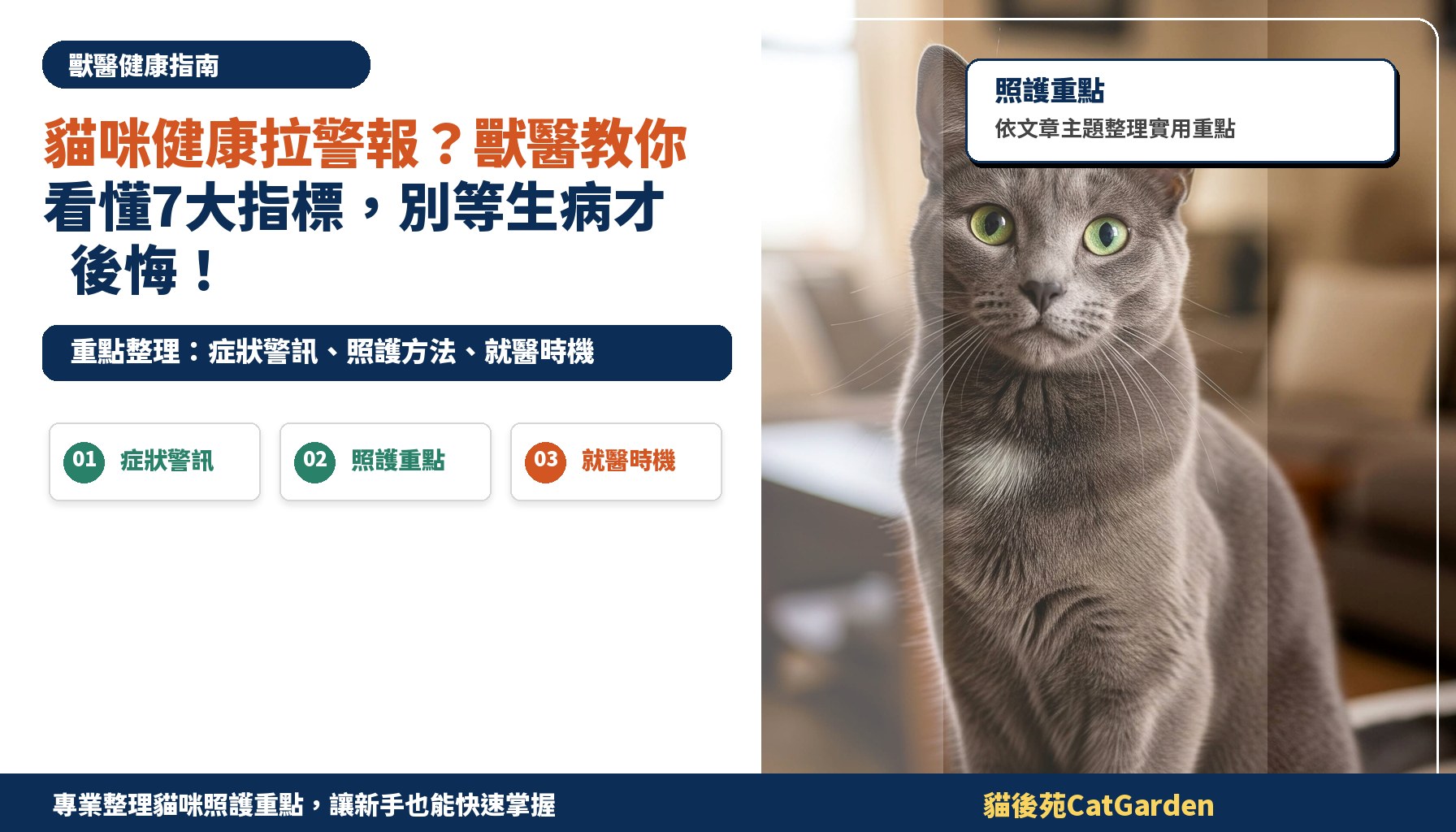 貓咪健康拉警報？獸醫教你看懂7大指標，別等生病才後悔！