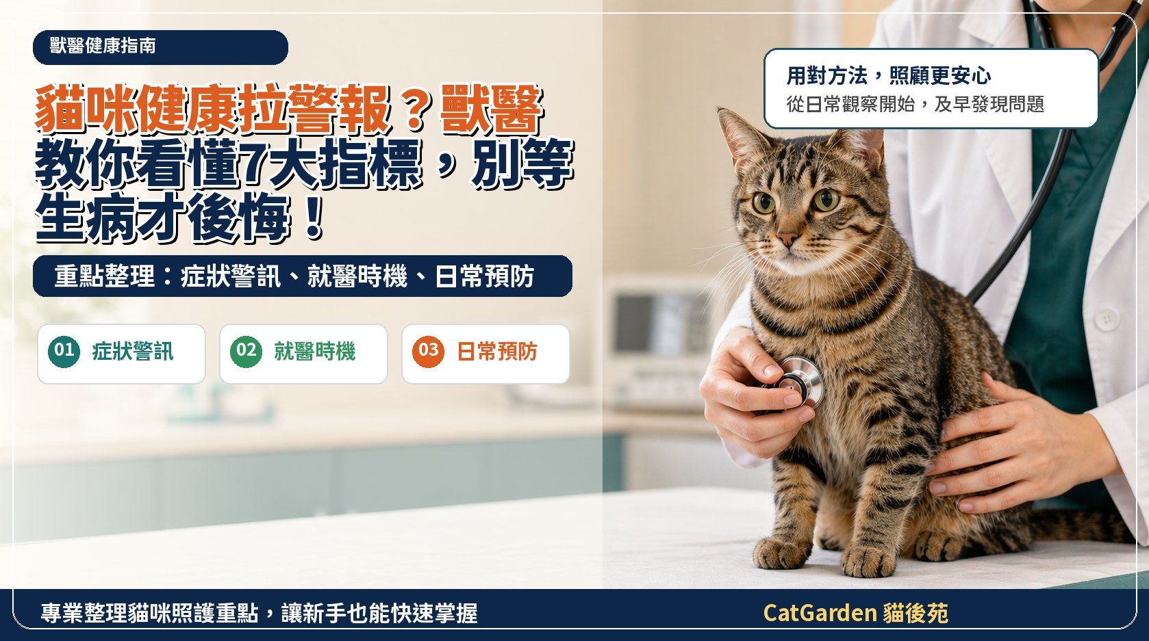 貓咪健康拉警報？獸醫教你看懂7大指標，別等生病才後悔！ 封面圖