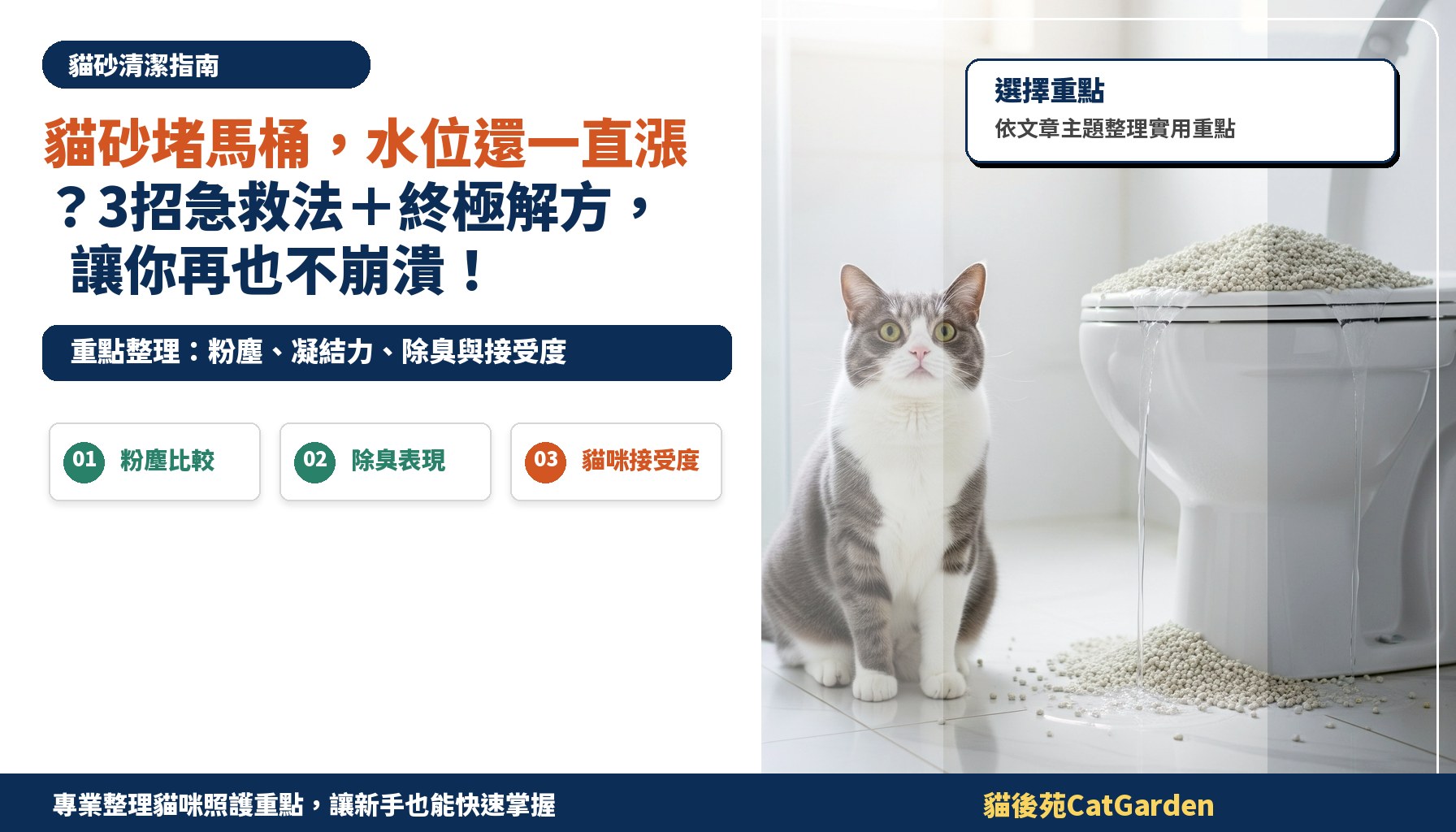 貓砂堵馬桶，水位還一直漲？3招急救法＋終極解方，讓你再也不崩潰！