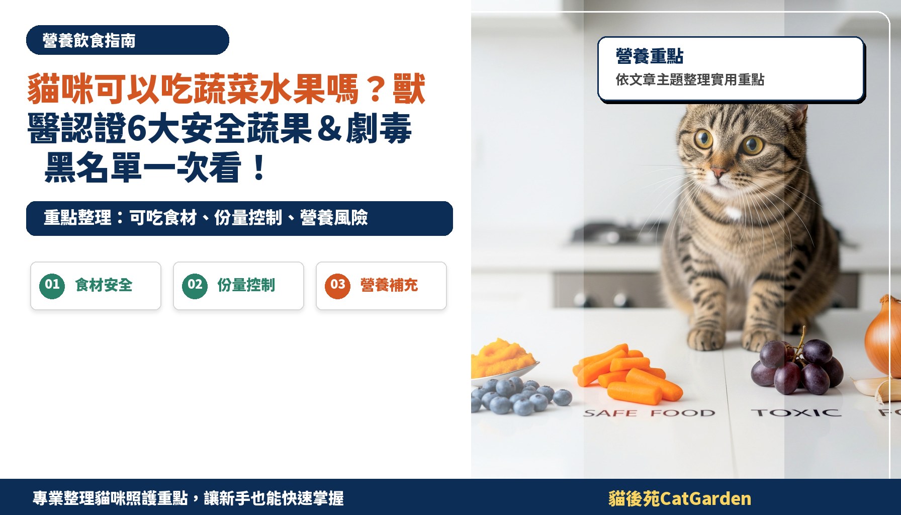 貓咪可以吃蔬菜水果嗎？獸醫認證6大安全蔬果＆劇毒黑名單一次看！